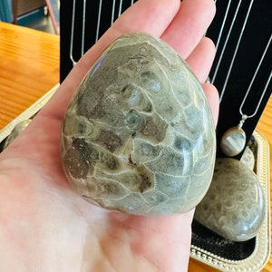 Polished Petoskey Stone