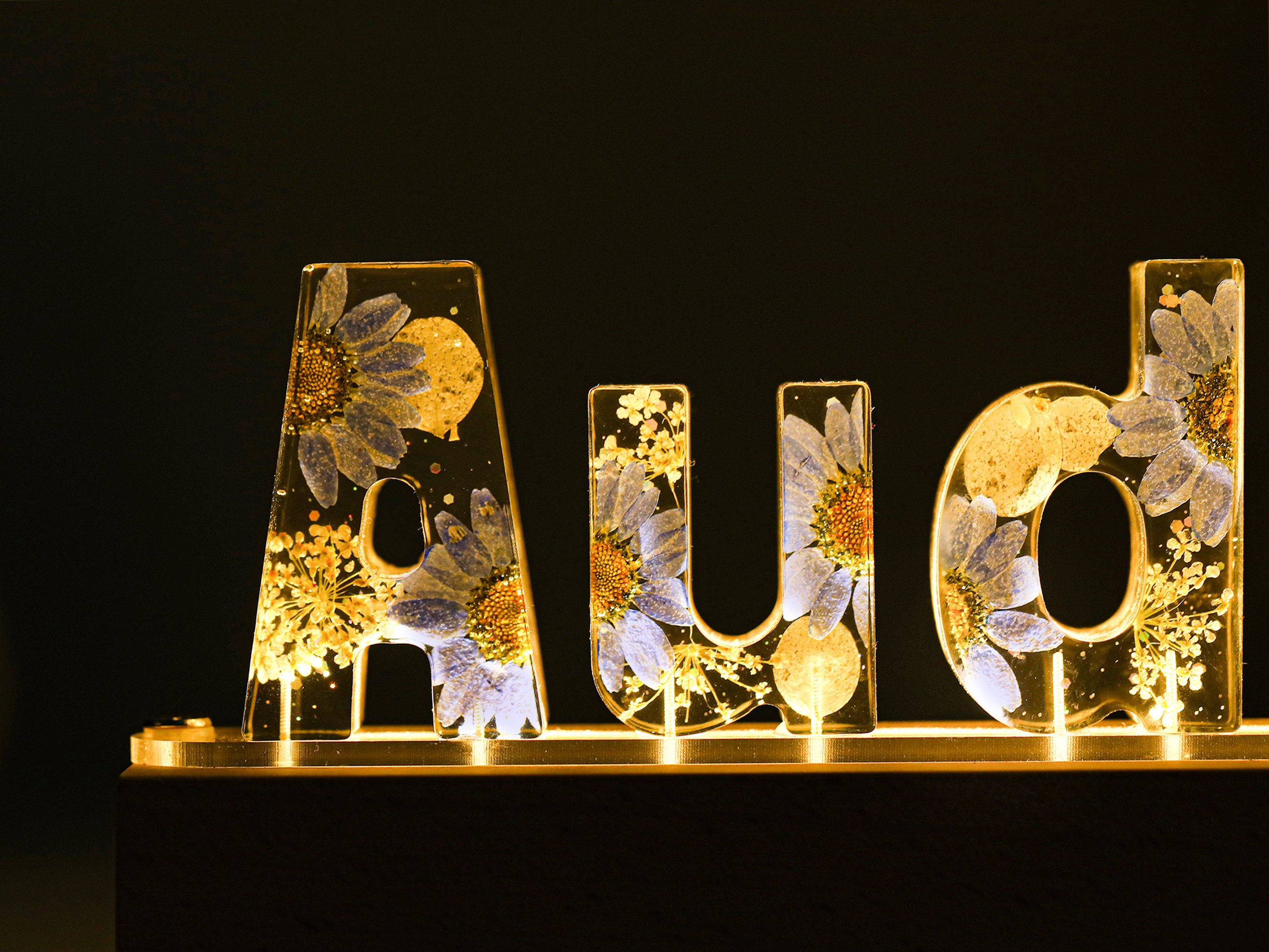 Personalisiertes Nachtlicht mit getrockneten Blumen, personalisierte Buchstabenlampe, personalisierte Nachtlampe mit Namen und getrocknetem Blumenharz, Einzigartiges Geschenk zur Heimdekoration, Geschenk für Mama