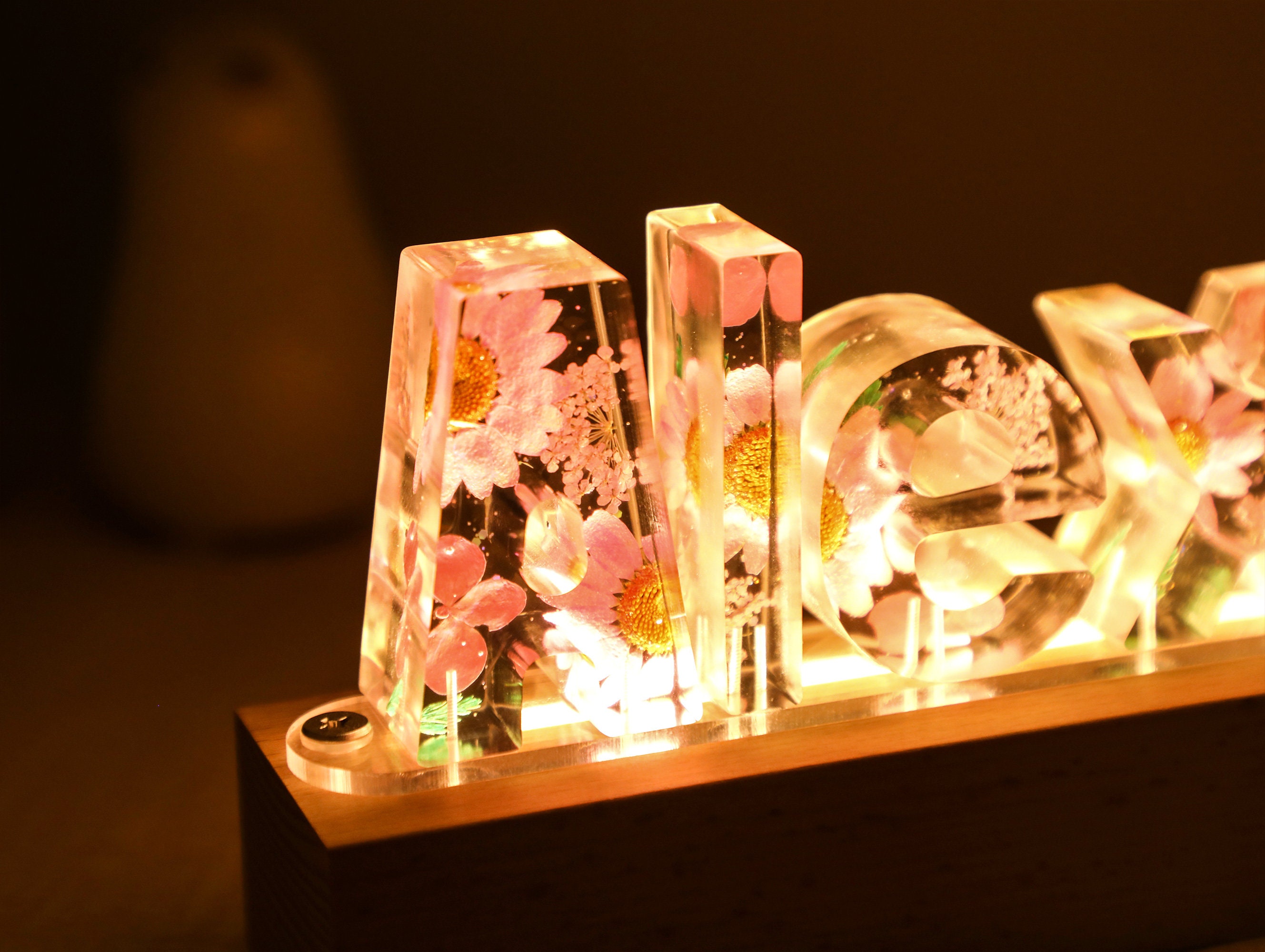Custom Dried Flower Night Light, Personalized Letter Lamp, Custom Name