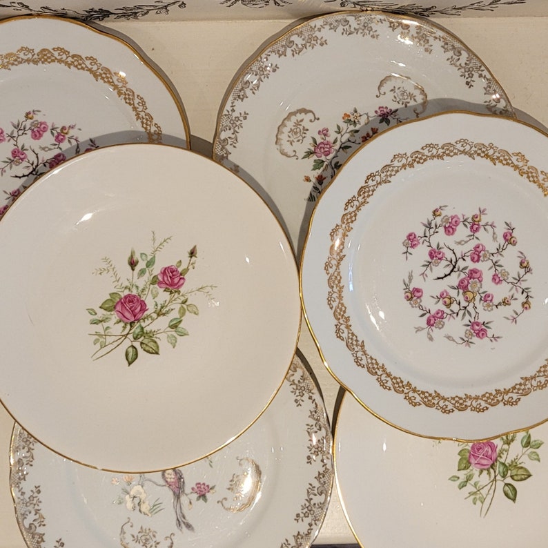 Service dépareillé JEANNE MARIE vintage. Assiettes plates en porcelaine ancienne. Assiettes au décor fin fleuries image 1