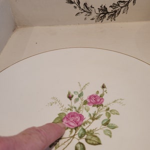 Service dépareillé JEANNE MARIE vintage. Assiettes plates en porcelaine ancienne. Assiettes au décor fin fleuries image 9