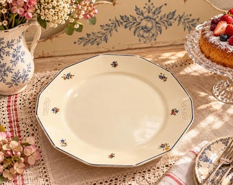 Può includere: Un piatto piano ottagonale in ceramica color crema con un sottile bordo blu e piccoli e delicati motivi floreali sparsi lungo la tesa. Il piatto presenta dettagli decorativi in rilievo su due lati opposti del bordo largo.