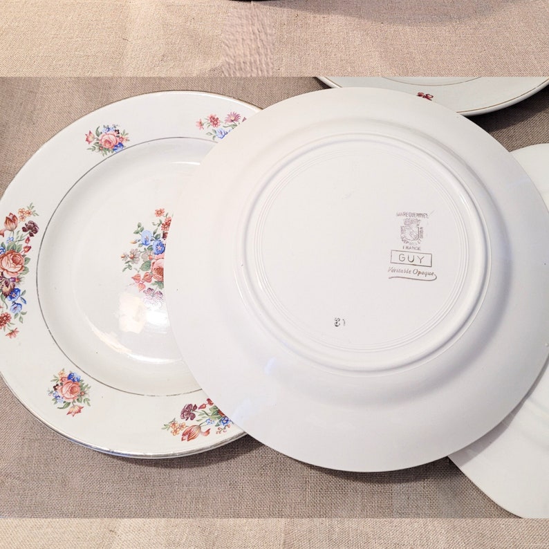 May include: Two white ceramic plates with a floral pattern and gold trim. The bottom plate has the text "Guy, France, Porcelaine Opaque" printed on the back.