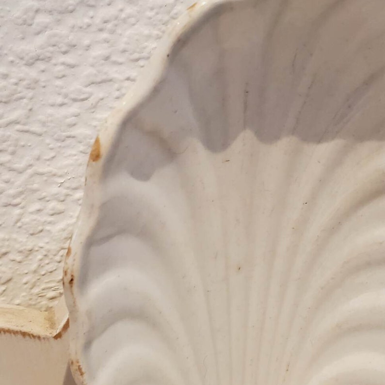 Puede incluir: Un plato de cer&aacute;mica blanca con forma de concha marina con una superficie texturizada. El plato tiene un peque&ntilde;o astillado en el borde.