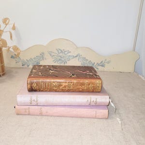 Può includere: Una pila di tre libri antichi con una testiera decorativa sullo sfondo. Il libro in alto ha una copertina marrone e dorata. Il libro centrale è rosa chiaro e quello in basso è rosa più scuro. La testiera è color crema con decorazioni floreali blu.