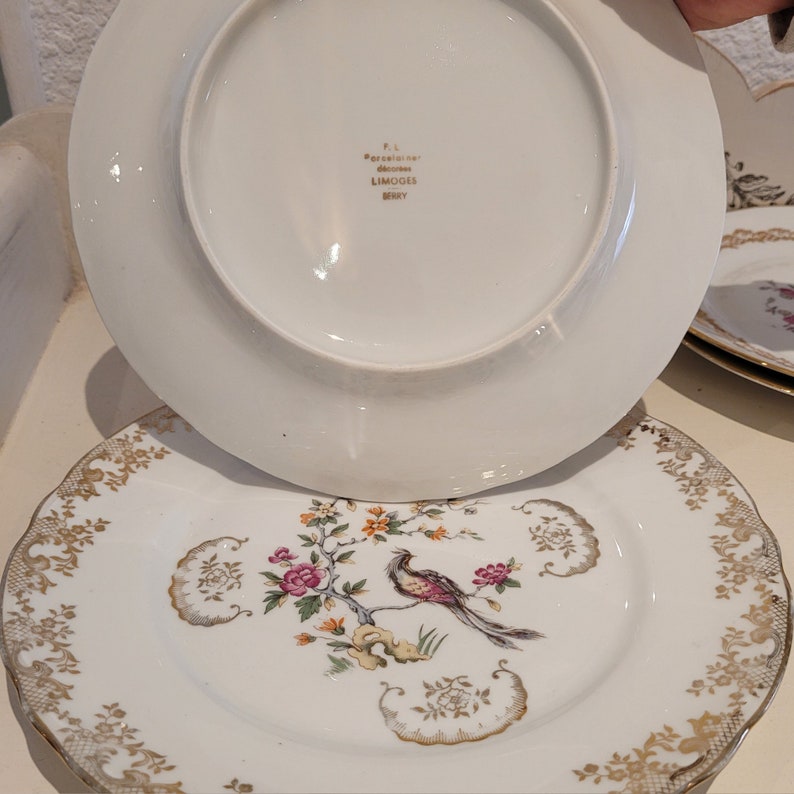 Service dépareillé JEANNE MARIE vintage. Assiettes plates en porcelaine ancienne. Assiettes au décor fin fleuries image 7