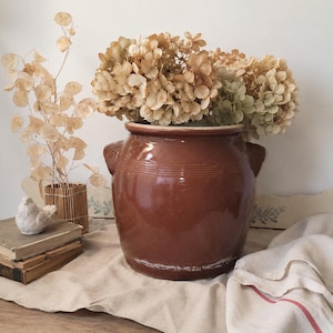 Può includere: Un grande vaso in ceramica marrone lucido con due manici laterali, riempito con fiori di ortensia secchi color beige. Il recipiente presenta dettagli a coste orizzontali vicino al bordo e un corpo ampio e arrotondato con finitura smaltata.