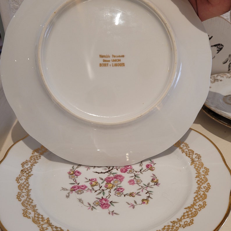 Service dépareillé JEANNE MARIE vintage. Assiettes plates en porcelaine ancienne. Assiettes au décor fin fleuries image 8