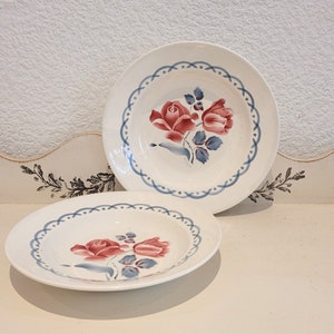 Vintage set of 2 "DIGOIN SARREGUEMINE" plates. 2 “CANNES” model soup plates. Plates with floral decoration: pink and blue