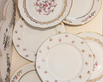 Service dépareillé "DENISE" vintage. Assiettes plates en porcelaine ancienne. Assiettes au décor fin fleuries