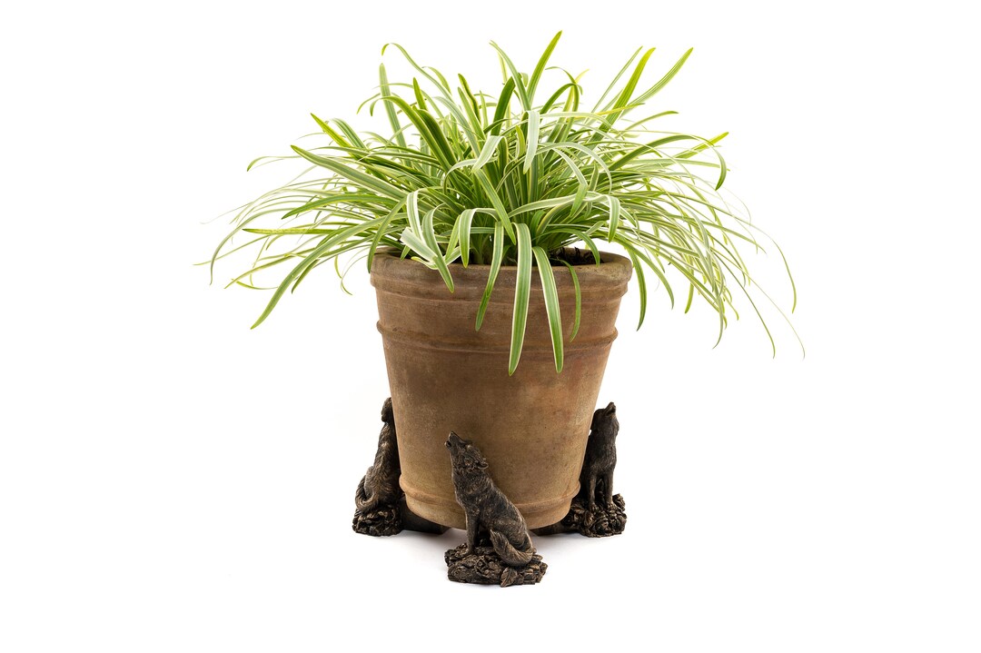 Set di 3 piedini per vasi da alano / Elegante decorazione da