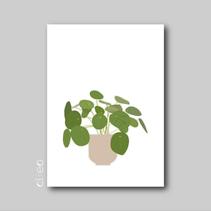 Postkarte "Ufo-Pflanze" Pilea peperomioides Geldbaum Naturpapier Geburtstag Einweihung Botanische  Grußkarte Zimmerpflanze Boho Plant Lover
