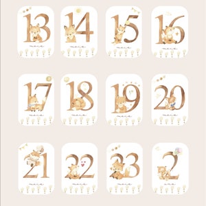 Cartes étapes bébé - Première année bébé - Mois anniversaires - 1ère année - Renard - anglais - français - allemand - espagnol - italien image 8