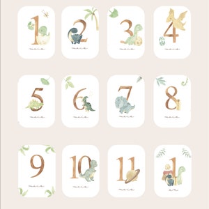 Cartes étapes bébé - Première année bébé - Mois anniversaires - 1ère année - grossesse - dinosaures anglais allemand espagnol italien image 6
