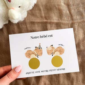 Carte à gratter - gender reveal - carte sexe bébé à gratter - carte à gratter annonce sexe bébé - fille ou garçon ? renard