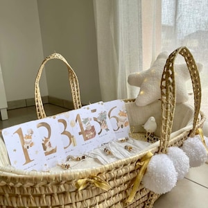 Biglietto per la nascita - Biglietto per il primo anno - Mese del compleanno - Biglietto per lo sviluppo del bambino - Regalo di nascita - Animali acquerellati