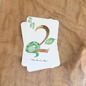 Cartes étapes bébé - Première année bébé - Mois anniversaires - 1ère année - grossesse - animaux jungle - Australie - animaux aquarelle image 3