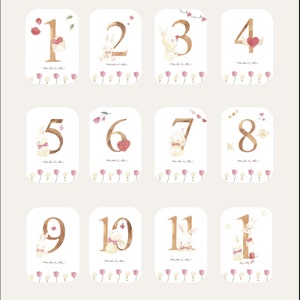 Cartes étapes bébé - Première année bébé - Mois anniversaires - 1ère année - grossesse - lapin coquette - anglais allemand espagnol italien Classique