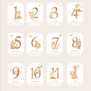 Cartes étapes bébé - Première année bébé - Mois anniversaires - 1ère année - Renard - anglais - français - allemand - espagnol - italien image 6