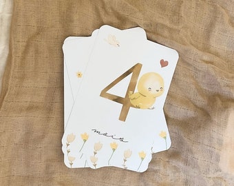 Cartes étapes bébé - Première année bébé - Mois anniversaires - 1ère année - poussin - anglais - français - allemand - espagnol - italien