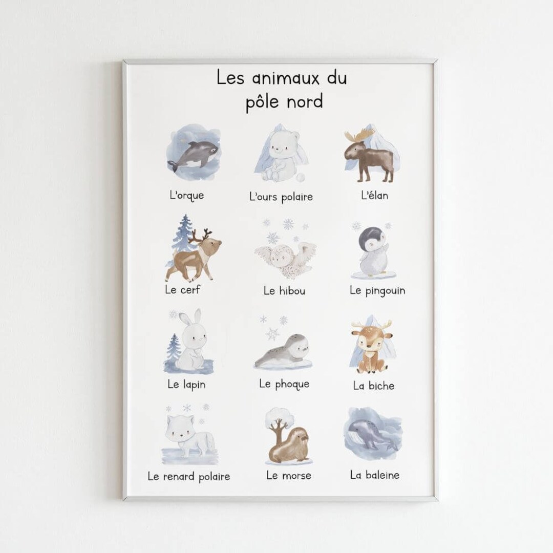 Learning Poster Animals of the North Pole Digital Format - Etsy