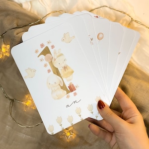 Tarjetas con los hitos del bebé: primer año del bebé, meses de su cumpleaños, primer año, embarazo, conejo rosa Inglés, alemán, español e italiano