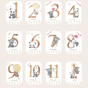 Cartes étapes bébé - Première année bébé - Mois anniversaires - 1ère année - grossesse - Panda et Koala Classique