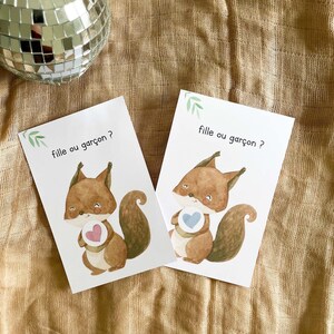 Carte à gratter - gender reveal - carte sexe bébé à gratter - carte à gratter annonce sexe bébé - fille ou garçon ? - Écureuil image 2