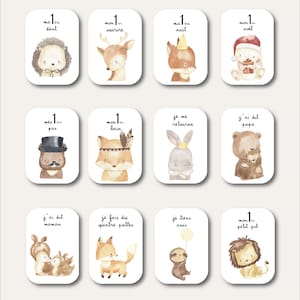 Cartes étapes bébé - Première année bébé - Mois anniversaires - 1ère année - grossesse - dinosaures anglais allemand espagnol italien image 7