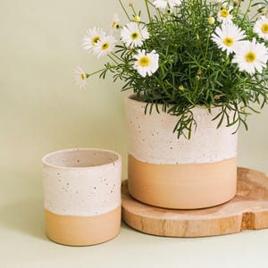 Könnte beinhalten: Zwei Keramik-Pflanzgefäße, eines groß und eines klein, mit zweifarbigem Design. Die obere Hälfte ist gesprenkelt weiß und die untere Hälfte hellorange. Der größere Topf enthält eine Pflanze mit weißen, gänseblümchenartigen Blüten.