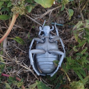 May include: A silver-colored plastic beetle figurine shown from an underside perspective, featuring a segmented abdomen, a central thorax, and six articulated legs extending outward from the body, resting amidst green leaves and dry grass.
