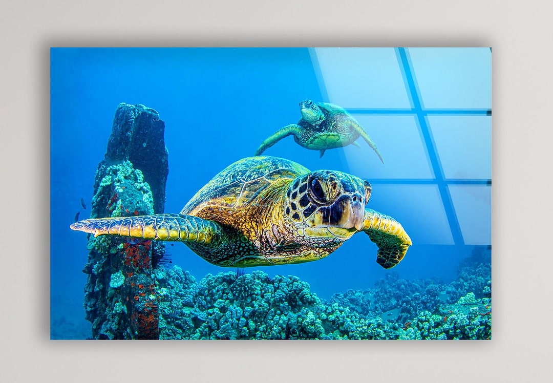 Tempered Glass Wall Art-home Decor Aquarium Wall Decor-glass Printing