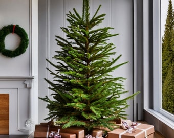 Eco-Friendly Evergreens: Sustainable Christmas Trees for a Green Holiday.