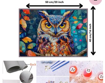 カラフルなフクロウの数字塗り絵キット、大人向けのキャンバスセット