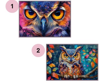 カラフルなフクロウの数字塗り絵キット、大人向けのキャンバスセット