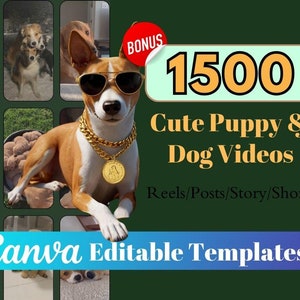 Vídeos de cachorrinhos e cachorros fofos | 1500 vídeos curtos de animais | Carretéis de animais fofos | Instagram sem rosto | Curtas do Youtube | TikTok | Redes Sociais Animais