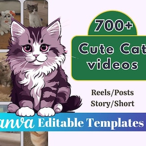 Mais de 700 vídeos fofos de gatos | Vídeos fofos de gatos e gatinhos | Reels fofos de animais | Instagram sem rosto | Shorts do YouTube | Tiktok | Mídia social animal