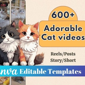 Mais de 600 vídeos de gatos | Vídeos de gatos adoráveis | Reels de animais fofos | Instagram sem rosto | Shorts do YouTube | Tiktok | Mídia social de animais