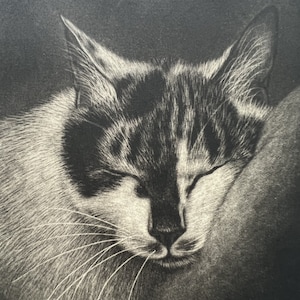 Emi Sato: &quot;Sleep&quot;