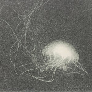 Riko Maeshiro: &quot;Arioto&quot;  e.d. 10/30  2021