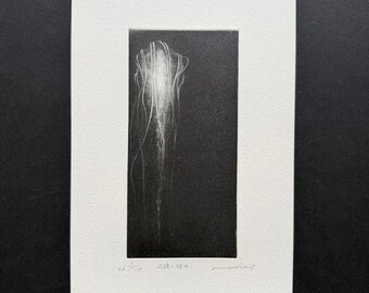 Riko Maeshiro: Un espécimen de memoria