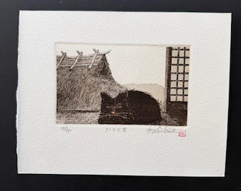 Hiroto Norikane: Briefly