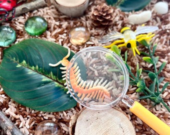 Bug Adventure Sensory Bin