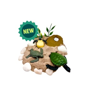 Sea Turtle Life Cycle Play Sand Kit