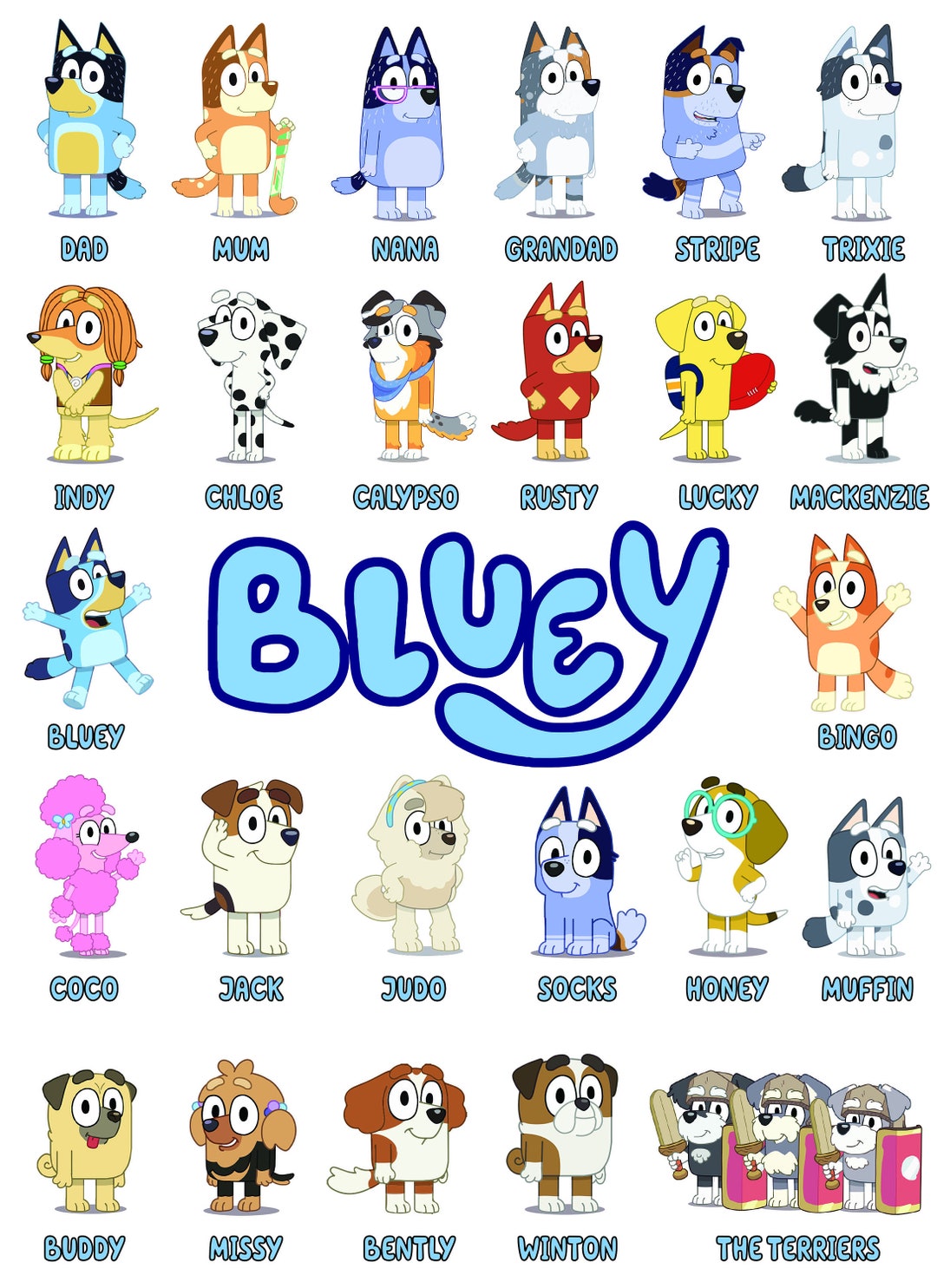 Names Of Characters In Bluey Cartoon