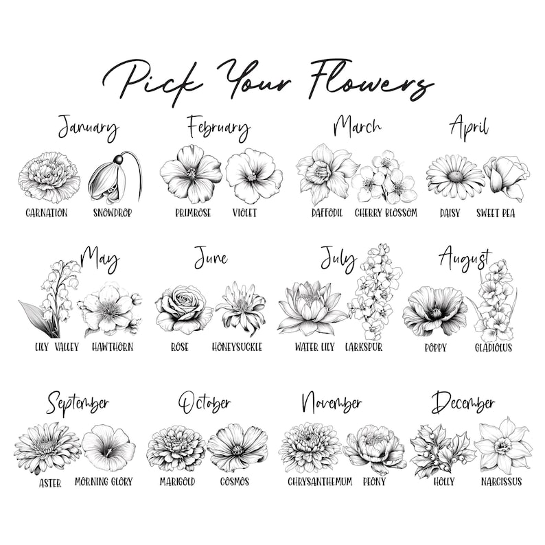 May include: Black and white floral illustration with the text "Pick Your Flowers." Each month is represented by a different flower, including carnation, snowdrop, primrose, violet, daffodil, cherry blossom, daisy, sweet pea, lily valley, hawthorn, rose, honeysuckle, water lily, larkspur, poppy, gladiolus, aster, morning glory, marigold, cosmos, chrysanthemum, peony, holly, and narcissus.