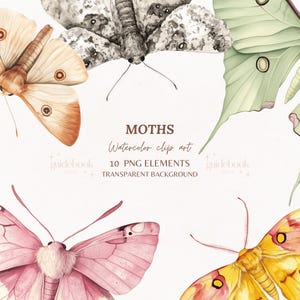 Aquarell Motten PNG Clipart, Motte rosa, blaue Motten, gelb, Luna Motte, PNG