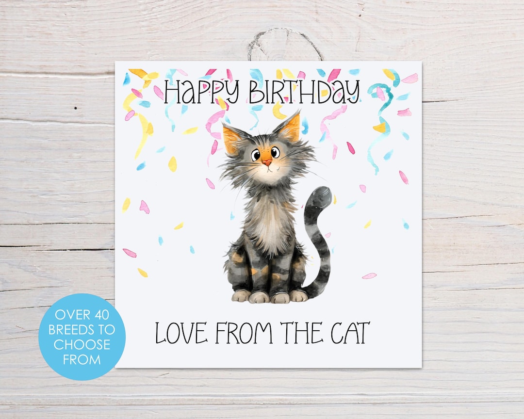 Happy Birthday From the Cat Card, Funny Cat Birthday Card, Card From ...