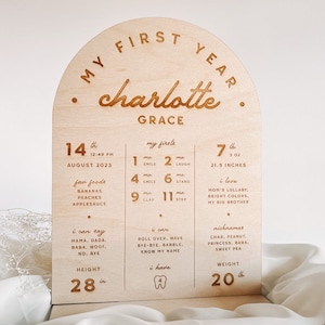 One Year Milestone Sign First Birthday Board Baby First Year Milestone Year One Board My First Year Board First Year Stat Milestone Board