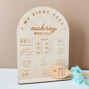 First Birthday Milestone Board Baby First Year First Birthday Stat Board First Year Milestone Baby Stat Sign Baby Milestone Board Birthday